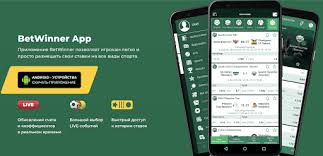 Essential Guide to Contacts Betwinner
