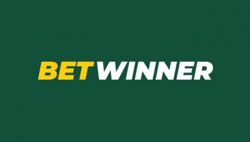 Essential Guide to Contacts Betwinner