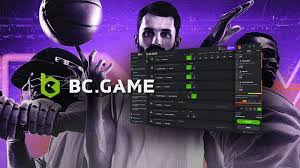 Guide to Your First Login to BC Games