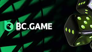 Guide to Your First Login to BC Games