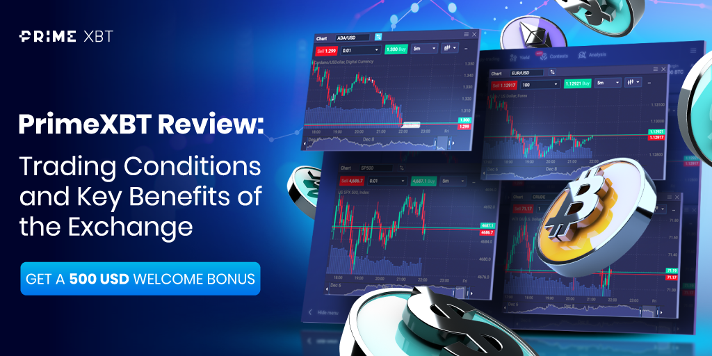 Mastering Live Trading on PrimeXBT Strategies and Insights