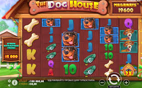슬롯 도그하우스 신나는 게임의 세계